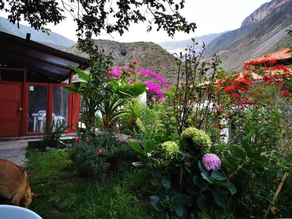 Casa De Virginia Cabanaconde Exterior foto